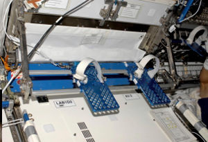 Long Term Foot Restraint installed on ISS